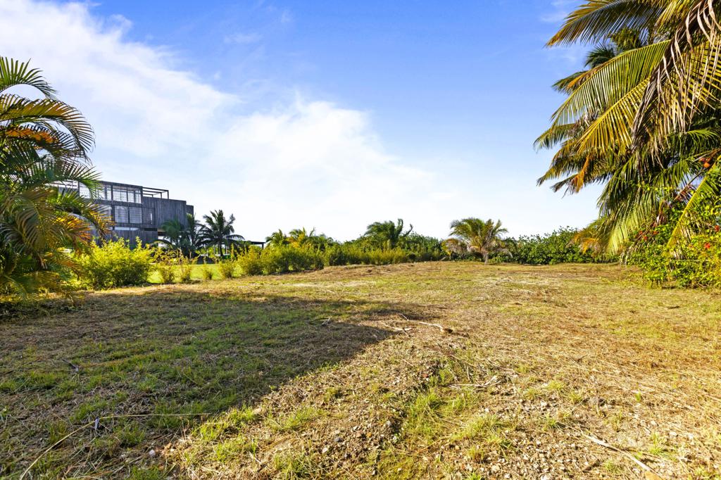 listing image with ID 63241