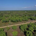 listing image thumbnail with ID 63183