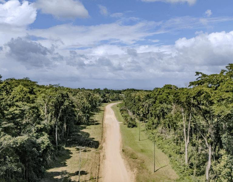 listing image with ID 62576