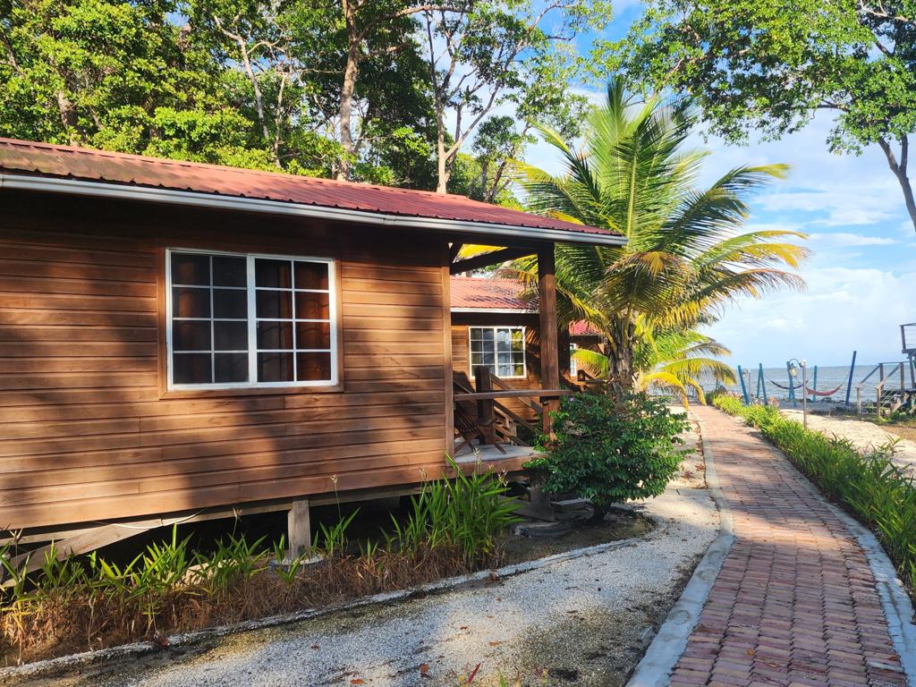 listing image with ID 62248