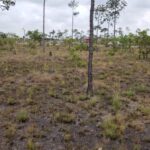 listing image thumbnail with ID 62804