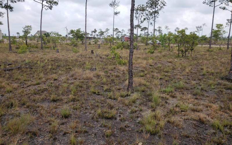 listing image with ID 62804