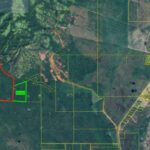 listing image thumbnail with ID 62307