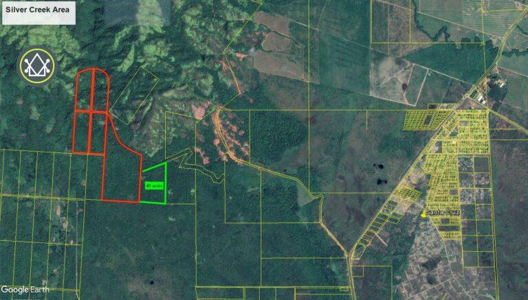 listing image with ID 62307