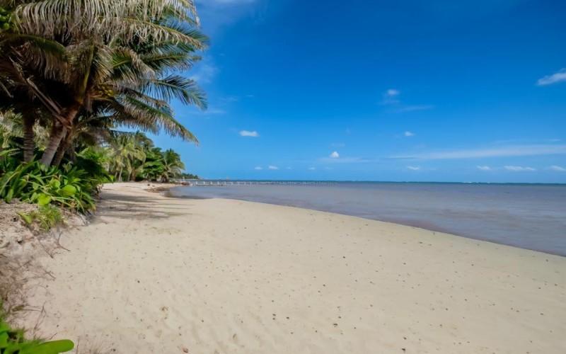 listing image with ID 62680