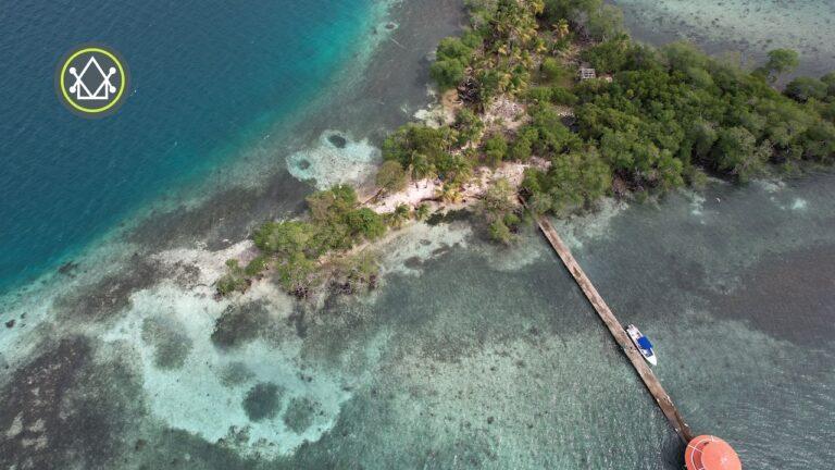 listing image with ID 63446