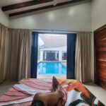 listing image thumbnail with ID 62185