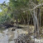 listing image thumbnail with ID 63143