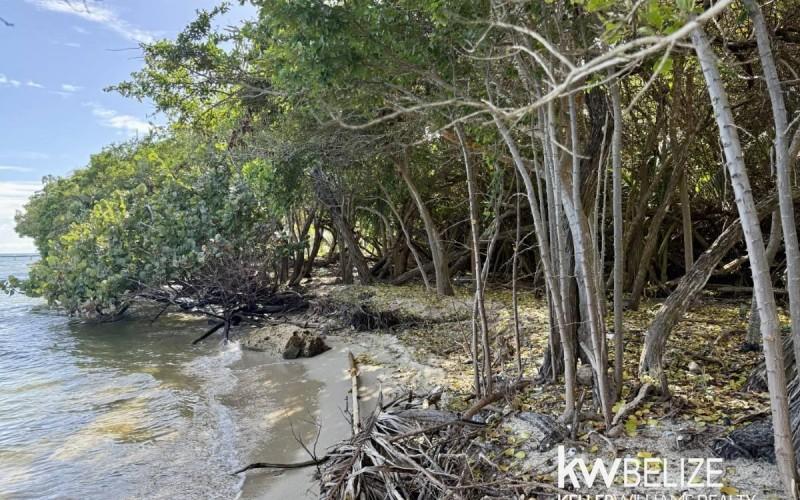 listing image with ID 63143