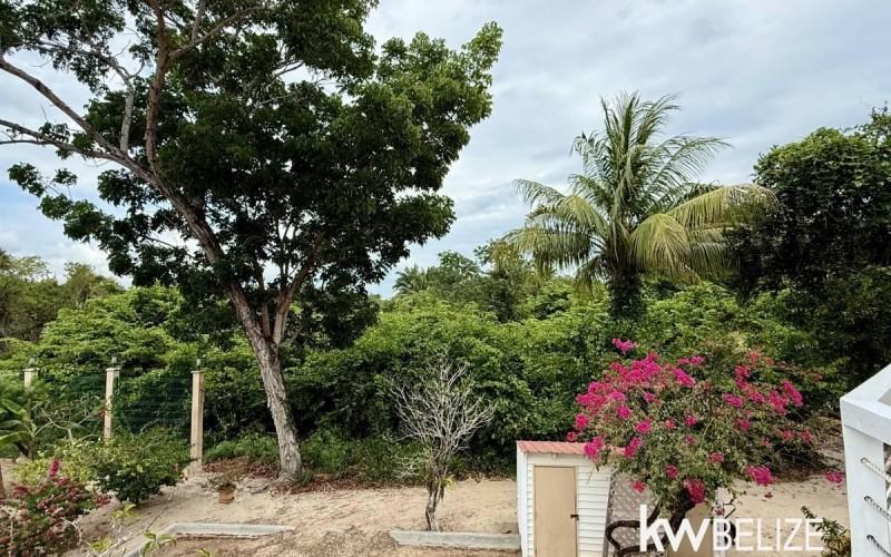 listing image with ID 62552