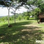 listing image thumbnail with ID 63014