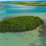 listing image thumbnail with ID 63131