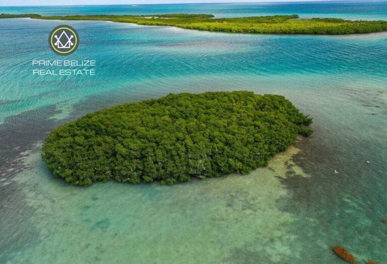 listing image with ID 63131