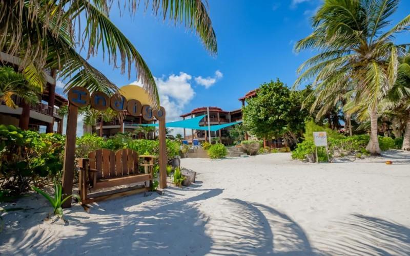 listing image with ID 63111