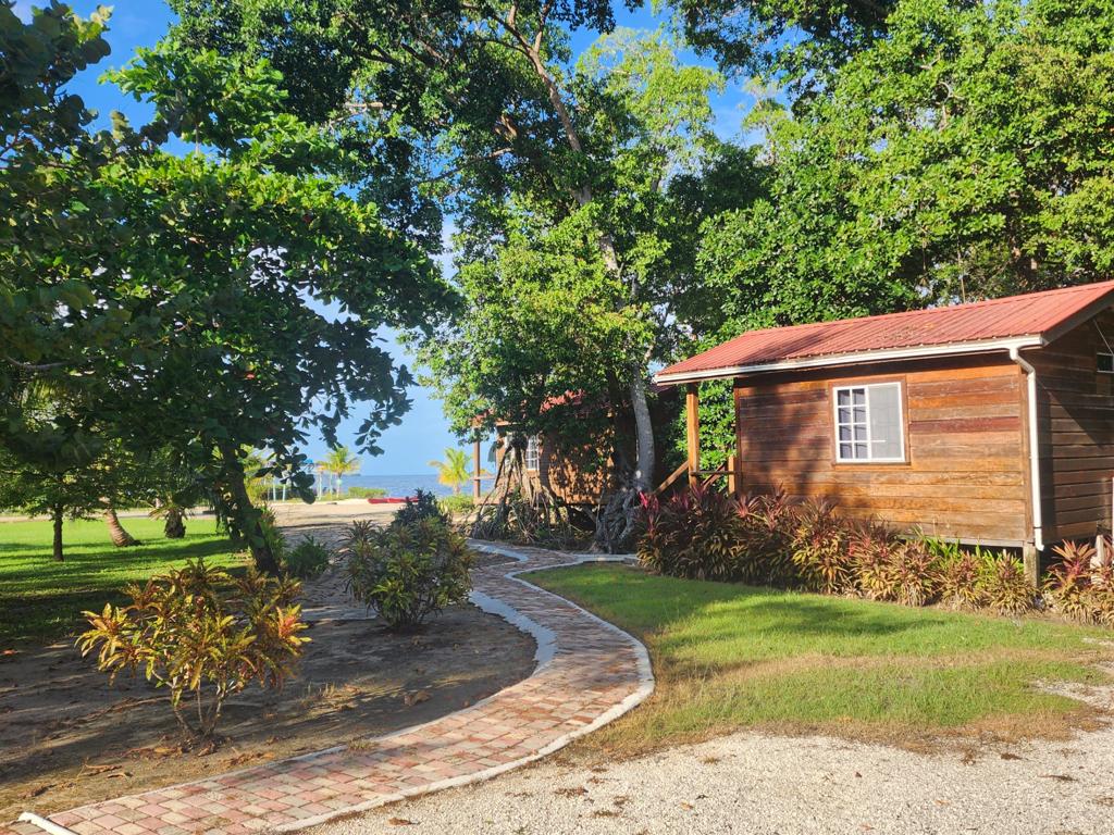 listing image with ID 62247