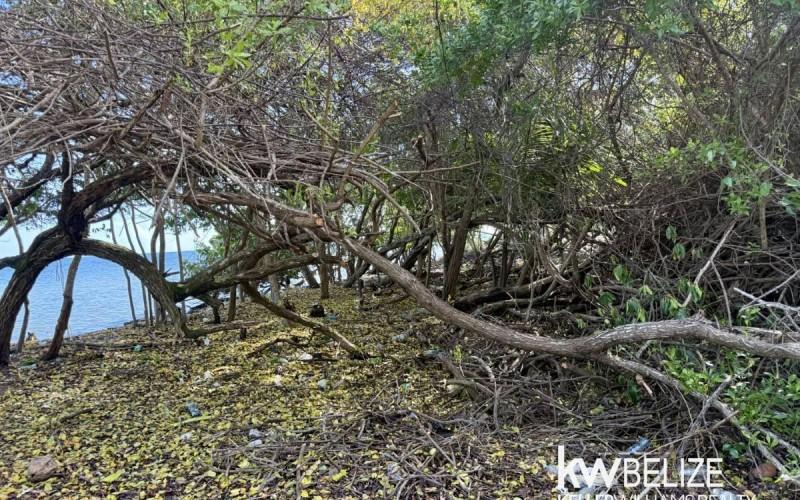 listing image with ID 63141