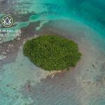 listing image thumbnail with ID 63127