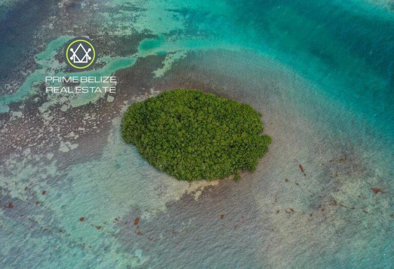 listing image with ID 63127