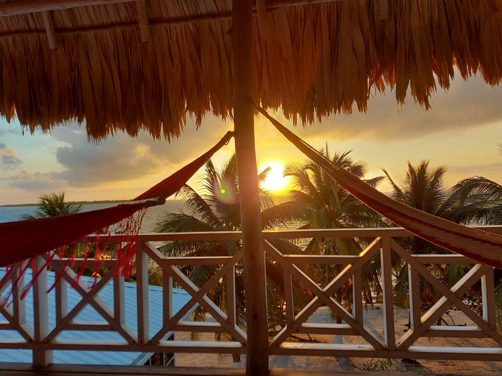 listing image with ID 63510