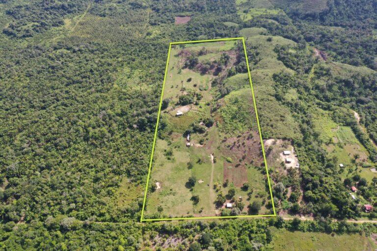 listing image with ID 62162