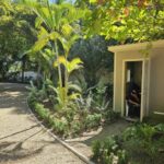 listing image thumbnail with ID 62299