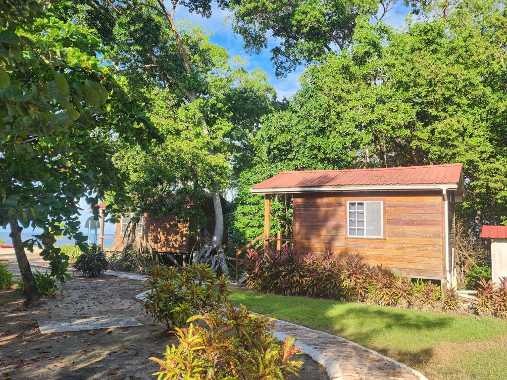 listing image with ID 62246