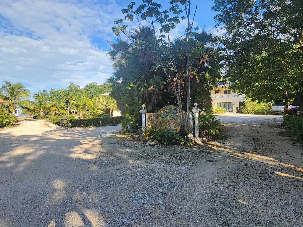 listing image with ID 62235