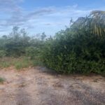 listing image thumbnail with ID 62408