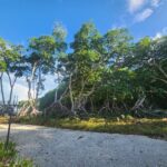 listing image thumbnail with ID 62252