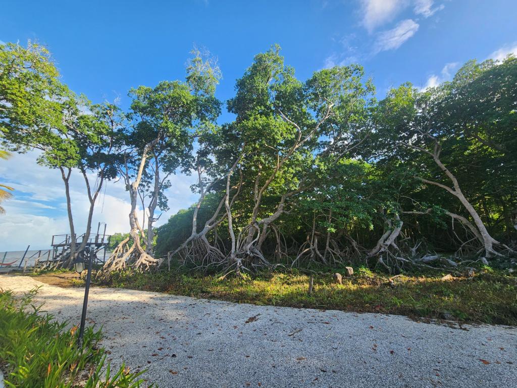 listing image with ID 62252