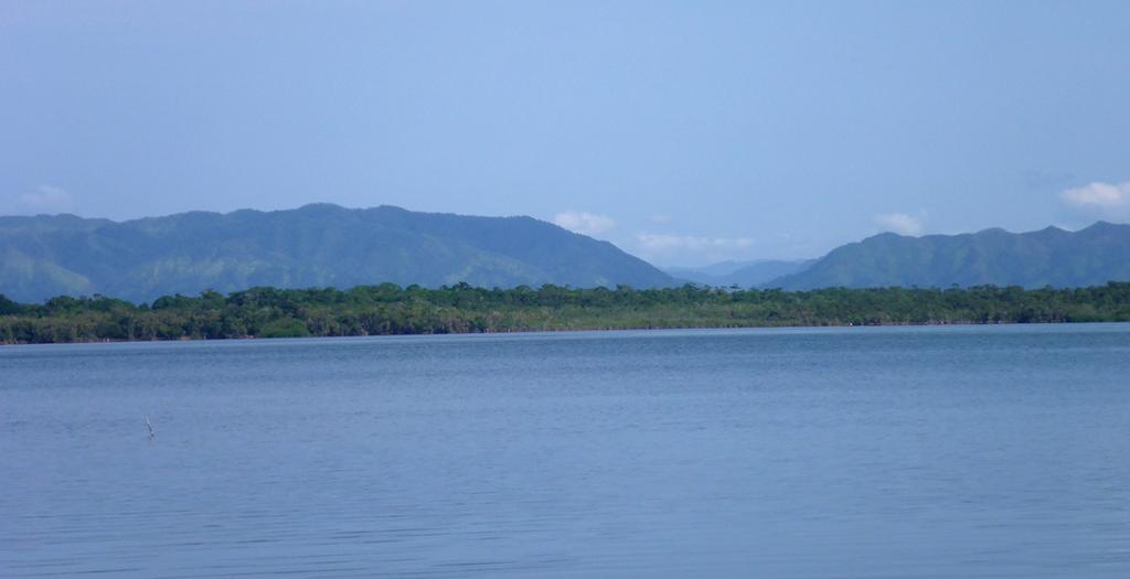 listing image with ID 63541