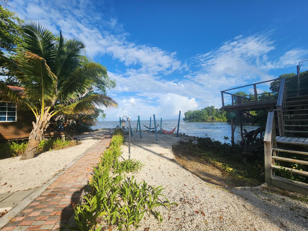 listing image with ID 62253