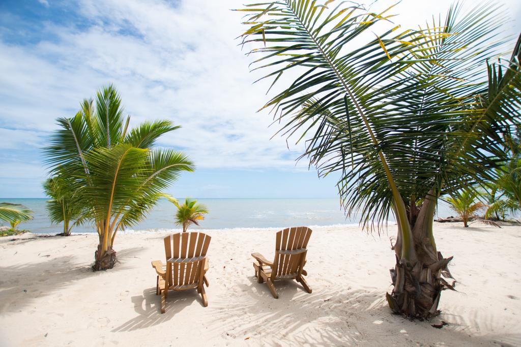 listing image with ID 63504