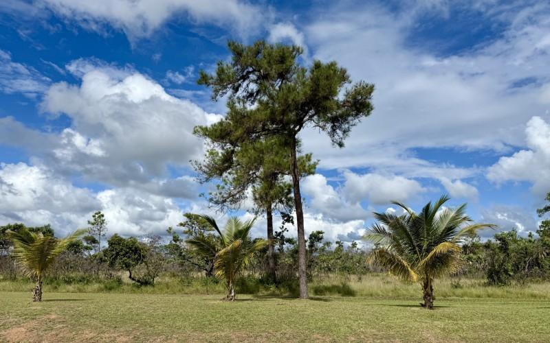 listing image with ID 63474