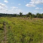 listing image thumbnail with ID 62143