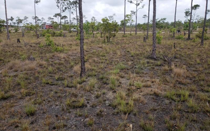 listing image with ID 62803