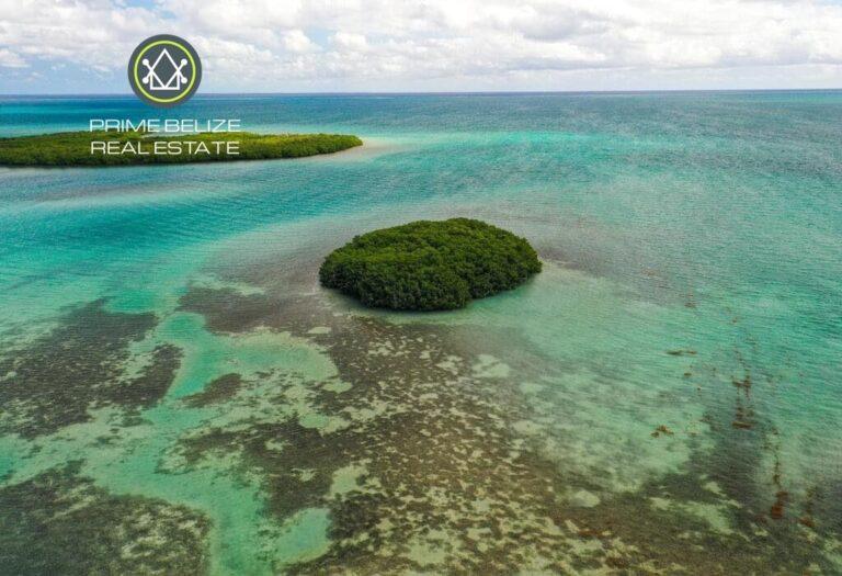 listing image with ID 63125