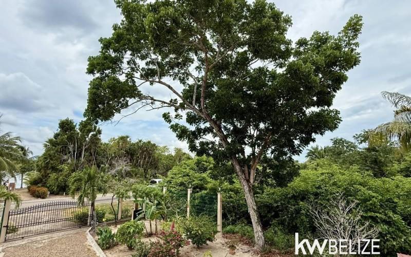 listing image with ID 62551