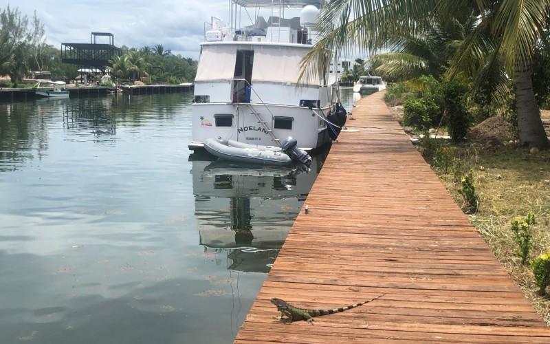 listing image with ID 62402