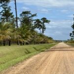 listing image thumbnail with ID 63476