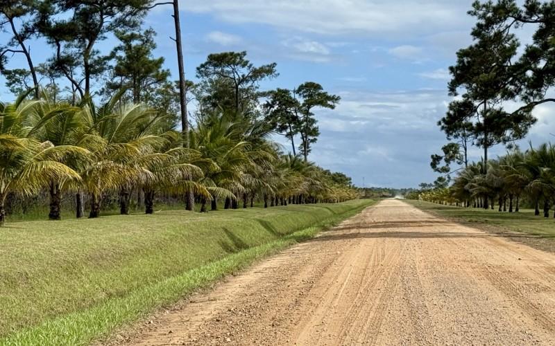 listing image with ID 63476