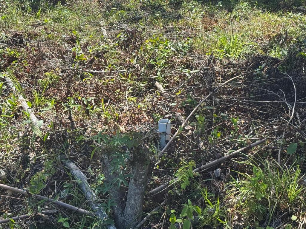 listing image with ID 63074