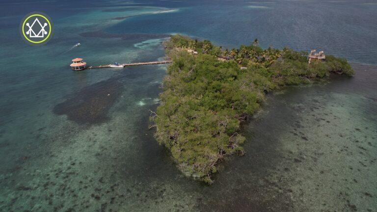 listing image with ID 63455