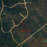 listing image thumbnail with ID 63484