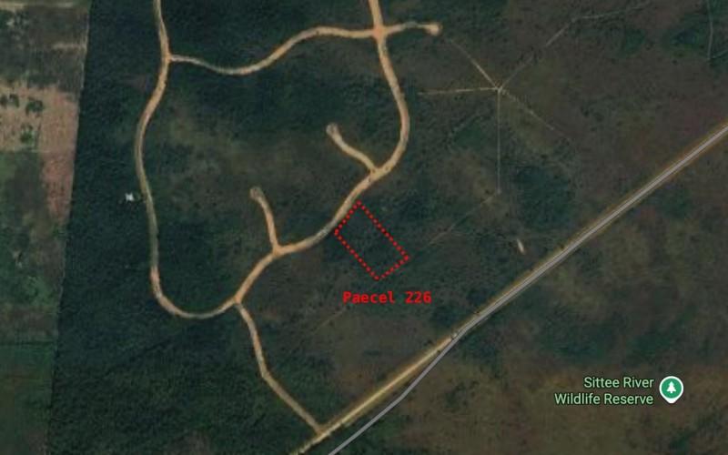 listing image with ID 63484