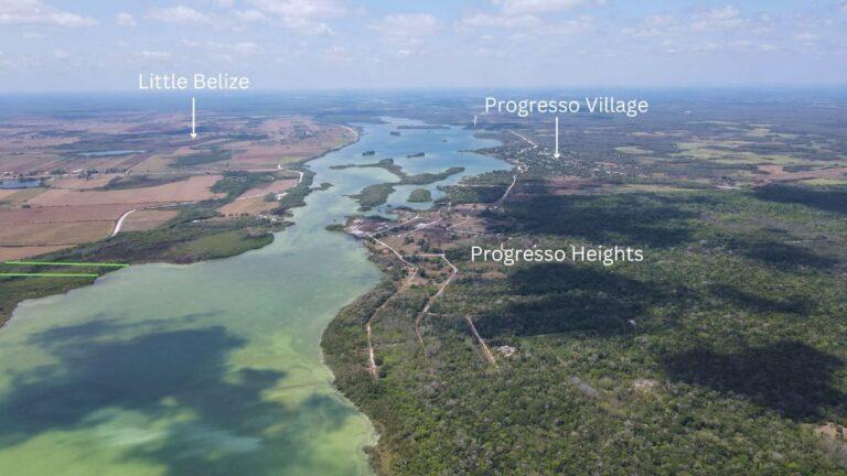 listing image with ID 62361