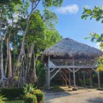 listing image thumbnail with ID 62239