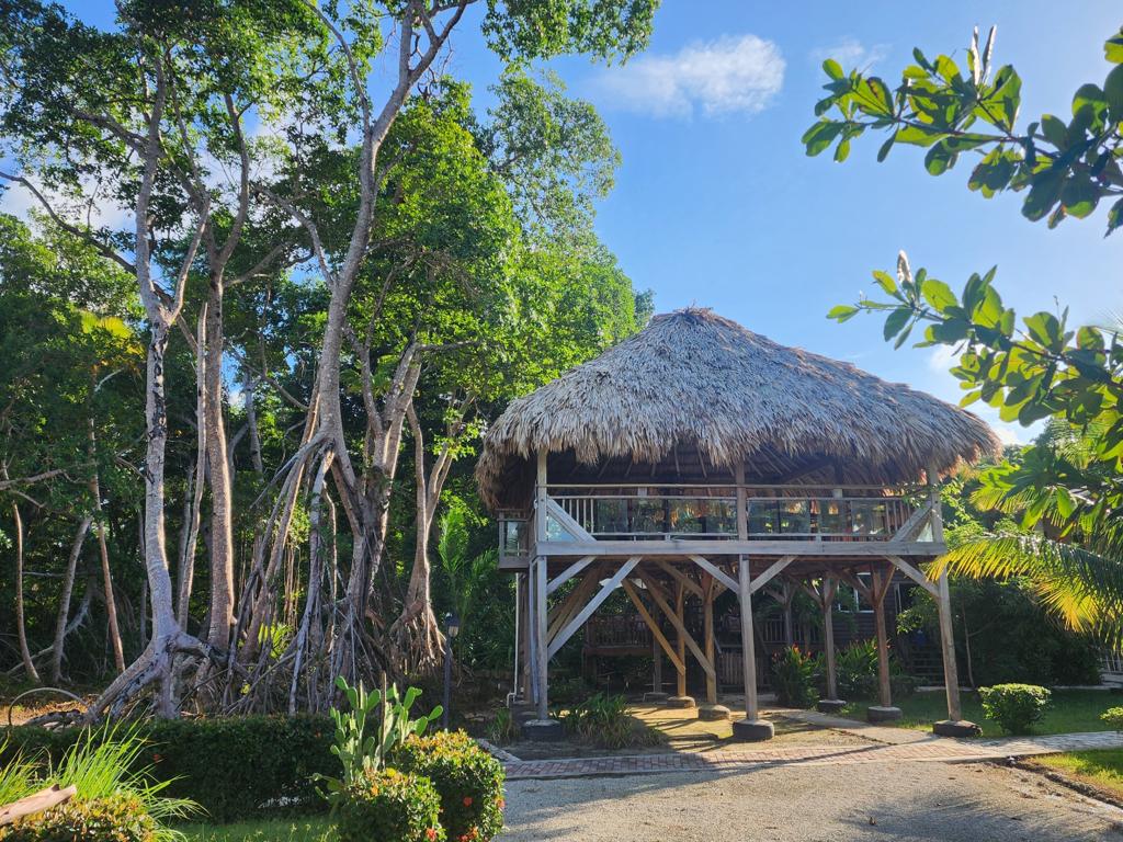 listing image with ID 62239