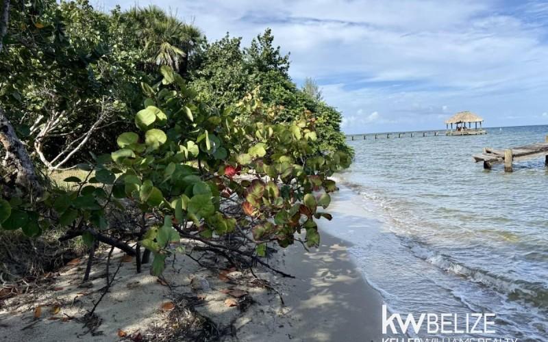 listing image with ID 63139