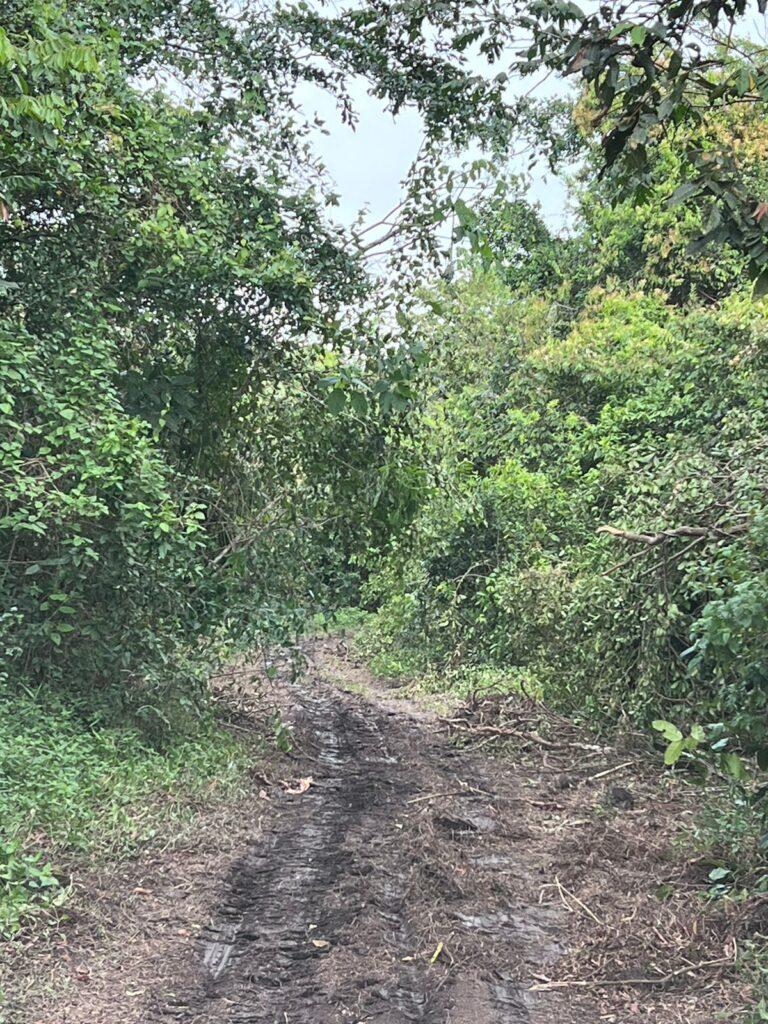 listing image with ID 62142